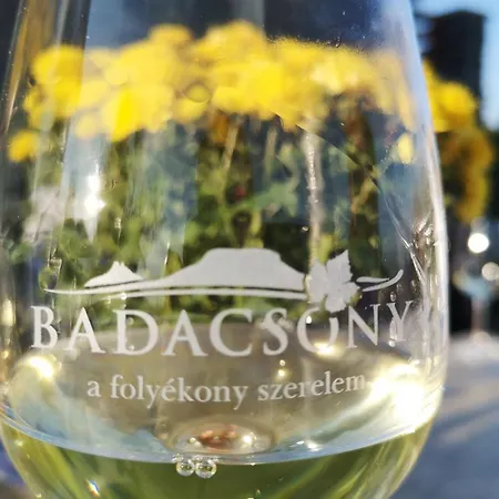 Oda ve Kahvaltı Zolka Vendeghaz 3*