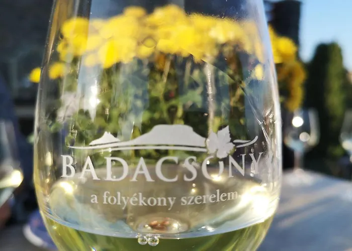 Oda ve Kahvaltı Zolka Vendeghaz 3*