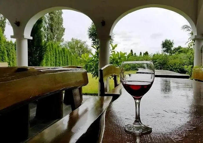 Zolka Vendeghaz Oda ve Kahvaltı Badacsonytomaj